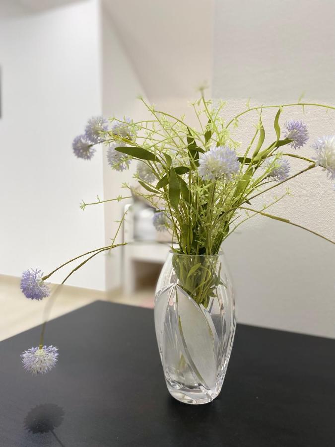 Apartma Azurre Postojna Luaran gambar
