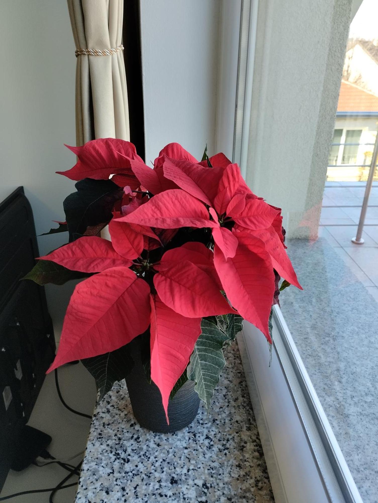 Apartma Azurre Postojna Luaran gambar